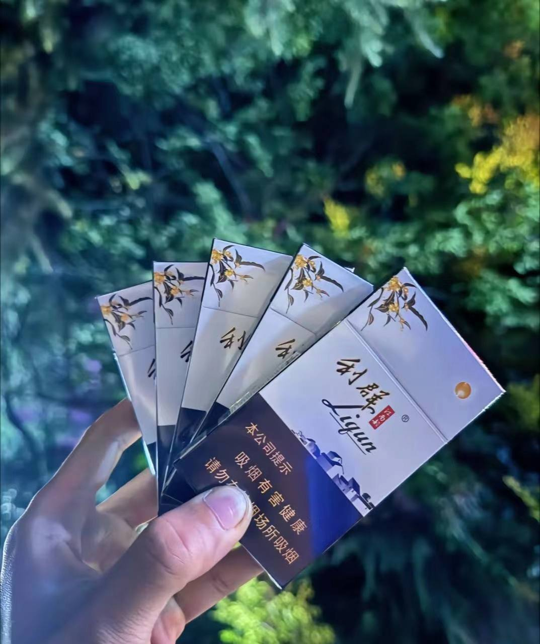 利群江南韵 #利群