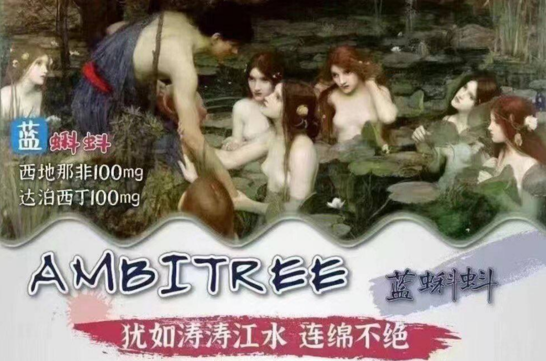 助你征服战场 #蓝蝌蚪