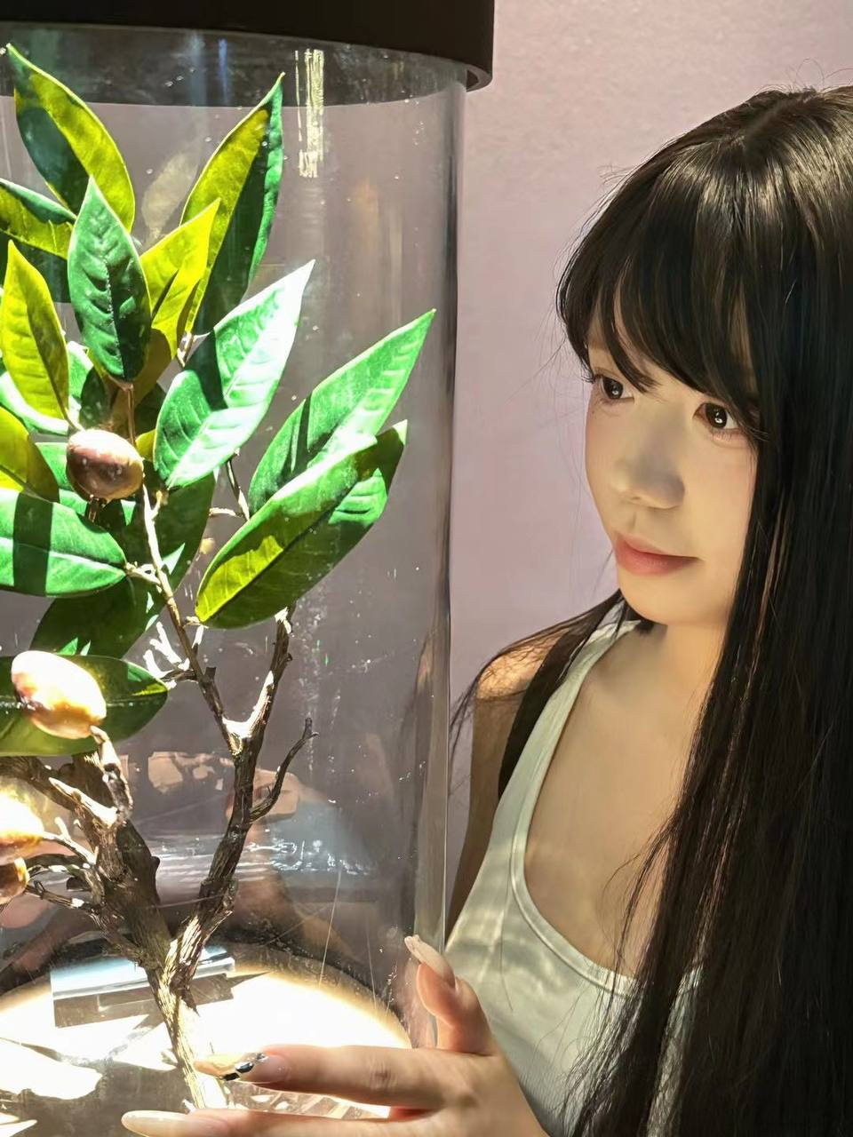 地区：杭州 省份：浙江