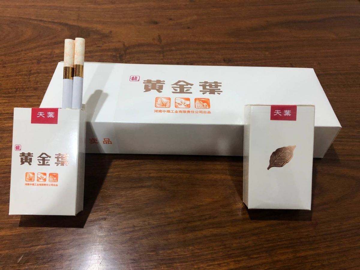 白龙天叶 #黄金叶